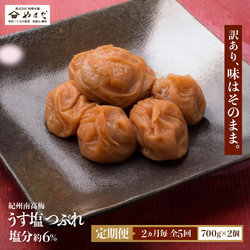 【定期便・2ヵ月毎 全5回】ご家庭用 紀州南高梅 うす塩 つぶれ 700g×2 ［YM15］
