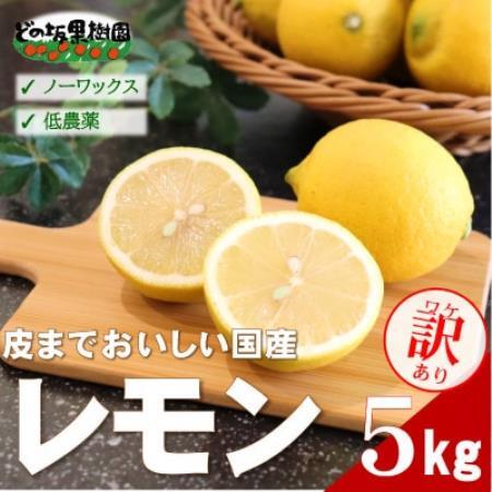 [ノーワックス]訳あり・ご家庭用 国産レモン 5kg (サイズおまかせ)[2027年2月以降発送]
