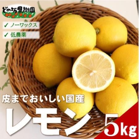 【ノーワックス】国産 紀州 レモン 約5kg(サイズおまかせ)【1752471】