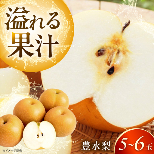 [先行予約]豊水梨 5-6玉入 BKAD110 梨