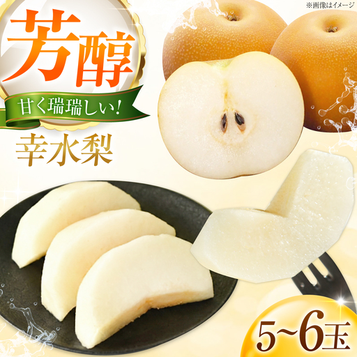 [先行予約]幸水梨 5-6玉入り BKAD113 梨