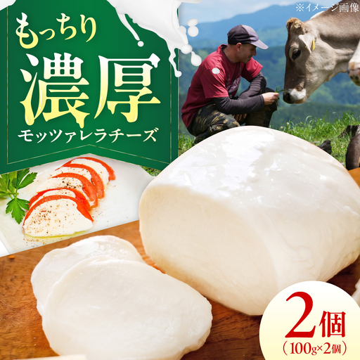 山地放牧酪農ミルクのモッツァレラチーズ 2個セット BKAH006 チーズ