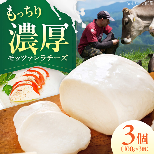 山地放牧酪農ミルクのモッツァレラチーズ 3個セット BKAH007 チーズ
