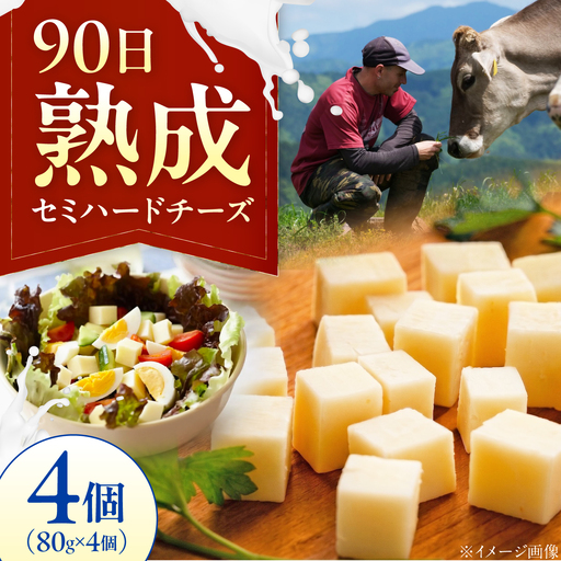 山地放牧酪農ミルクのセミハードチーズ（UCHIKO180）4個セット BKAH011 チーズ