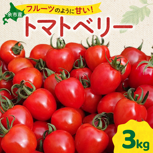 いちご型ミニトマト 「トマトベリー」 3Kg いちご型ミニトマト 北海道余市町 自根栽培 濃厚_Y165-0001