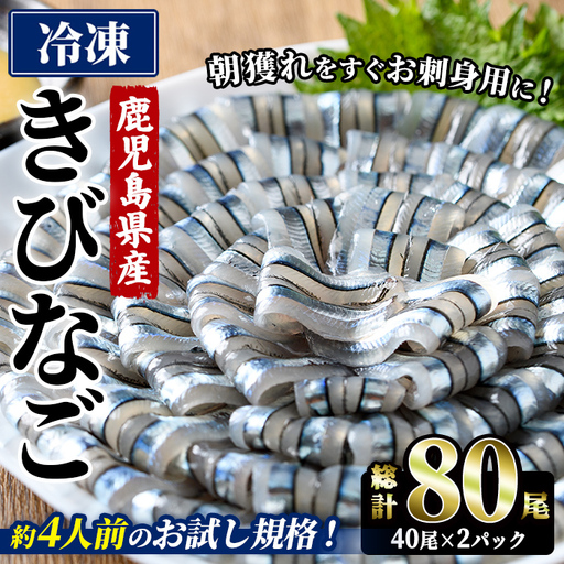鹿児島県産!阿久根のきびなごお刺身セット (計80尾/40尾×2パック) 魚介類 冷凍 海鮮 魚 きびなご キビナゴ 刺身 さしみ 刺し身 青魚 子魚 小分け 阿久根市産 国産 定期便 お試し [椎木水産]akn054-16