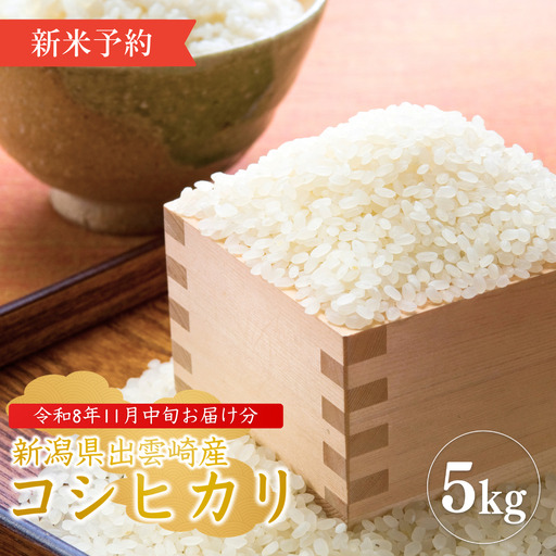【新米】【先行予約】 新潟県産 コシヒカリ 5㎏ 〈11月中旬発送分〉令和8年産 | コシヒカリ 農事組合法人ファーム天領