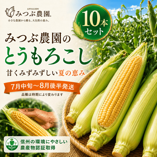 朝採れ極甘とうもろこし10本セット みつぶ農園【長野県信濃町・数量限定】