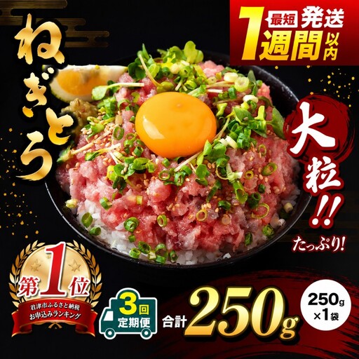 [定期便 3ヶ月][ 簡易包装 ]ネギトロ 鮪 250g×1袋 | まぐろのたたき ねぎとろ 清幸丸水産 君津市