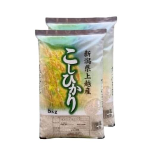 【令和8年産 先行予約】 コシヒカリ 無洗米 新潟県 上越産 10kg (5kg×2) 6か月 定期便 こしひかり 五つ星お米マイスターのいるお店 お米 精米 米 ご飯 大黒屋商店