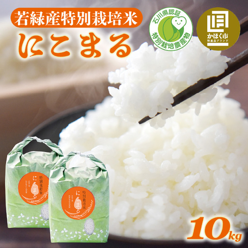 [令和7年産] にこまる 10kg | にこまる 白米 精米