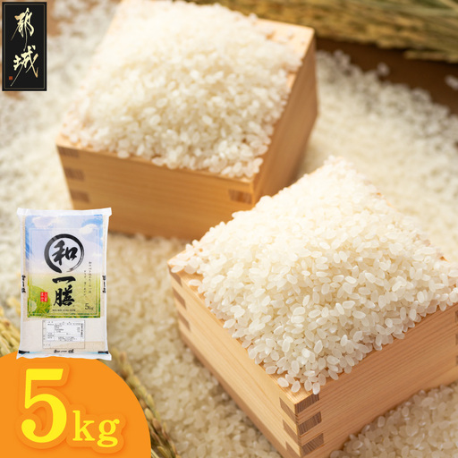 都城産と国産のブレンド米 5kg〔AAE-15-014-5kg〕_(都城市)