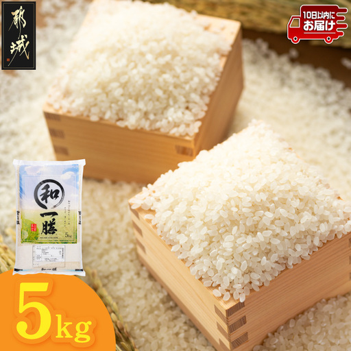 都城産と国産のブレンド米 5kg≪みやこんじょ特急便≫〔AAE-15-014-5kg-Q〕_(都城市)