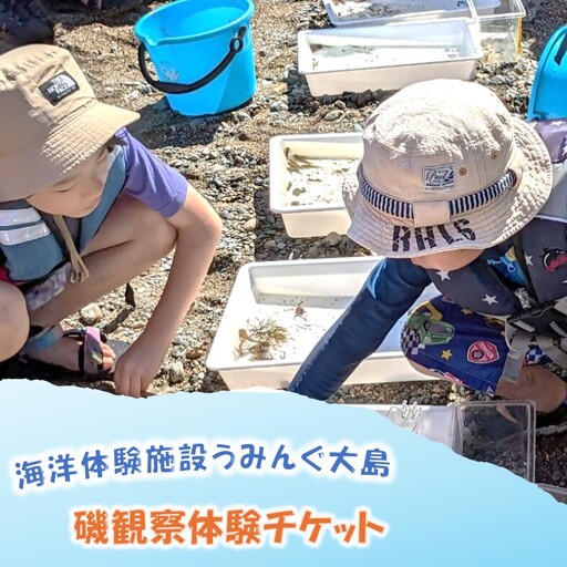 海洋体験施設うみんぐ大島 磯観察1名様分[(㈱)むなかた大島]_HA2026 体験 チケット 福岡県宗像市 宗像市 福岡 宗像