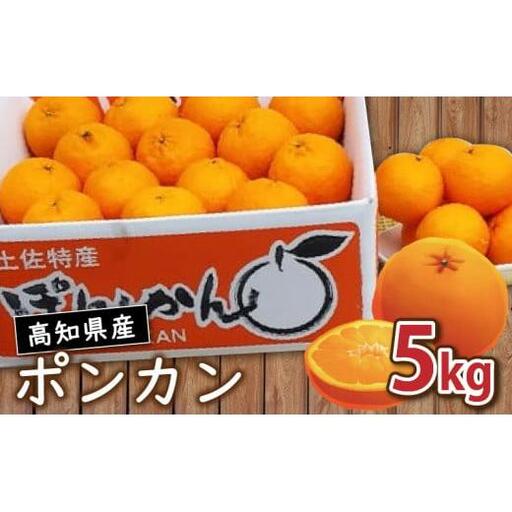 [数量限定]1月から発送開始 訳あり ポンカン 5kg 産地直送 季節限定 高知県産