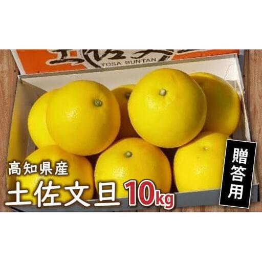 贈答用 土佐 文旦 10kg [ 2027年1月下旬より発送 ]