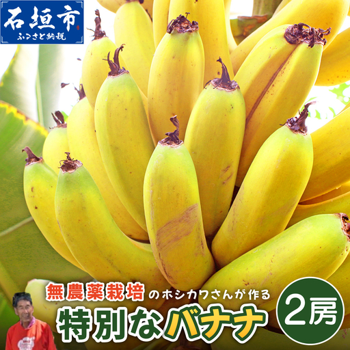 希少!無農薬栽培の千川さんが作る特別なバナナ2房