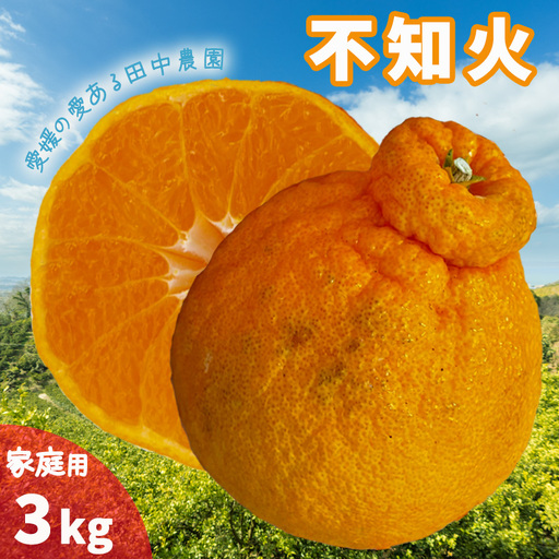 [2027年2月下旬頃から順次発送]みかん 不知火 しらぬい 約3kg 家庭用 愛媛県産 でこぽんと同品種 国産 愛媛みかん 