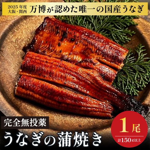 鰻 鰻の蒲焼き1尾