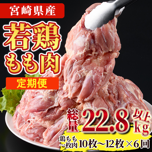 【定期便・全6回】宮崎県産若鶏もも肉(総量22.8kg以上・鶏もも一枚肉250～350g×10～12枚×6回) お肉 国産 冷凍【NK-23】【南九フーズ】