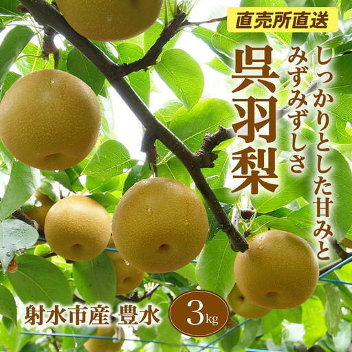 【射水のおいしい果実】【梨】直売所直送 野開梨園の“呉羽梨” 豊水3kg（8～9個／箱）※2026年9月～発送
