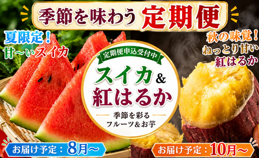 [2回 定期便 ] 夏 ・ 秋 スイカ さつまいも 紅はるか 定期便 [駿河農園ベジスル] 滝沢スイカ すいか 西瓜 1玉 1玉 2L 大玉 旬 フルーツ 果物 くだもの 芋 甘藷 かんしょ イモ 熟成 人気 美味しい 甘い おすすめ オススメ 産地直送 国産 岩手県産 オススメ おすすめ