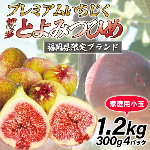 【令和8年度産】【先行予約】福岡県産 とよみつひめ(家庭用小玉) 1.2kg(300g×4パック) [M1016] 福岡県ブランドいちじく福岡県限定 果肉 上品 甘い なめらか食感 糖度17度 フルーツ 果物