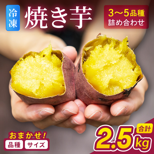 冷凍 焼き芋 品種おまかせ詰め合わせ 2.5kg さつまいも