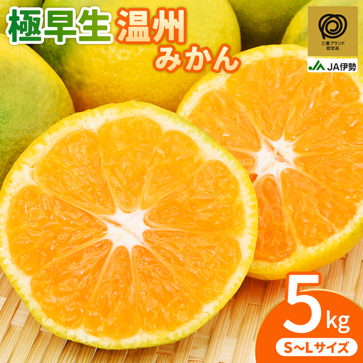 [三重ブランド認定品] みかん JA 極早生温州みかん 5kg みかん[isen0002]