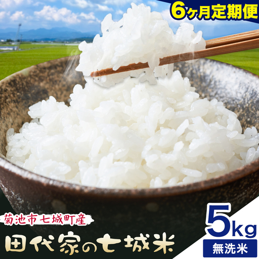 【6ヶ月定期便 】令和7年産 菊池市七城町産 田代家の七城米 七城ヒノヒカリ 無洗米 5kg 田代こめや《お申し込み月の翌月から出荷開始》熊本県 菊池市 米 お米 精米 ひのひかり 菊池市産 熊本県産 九州産 送料無料