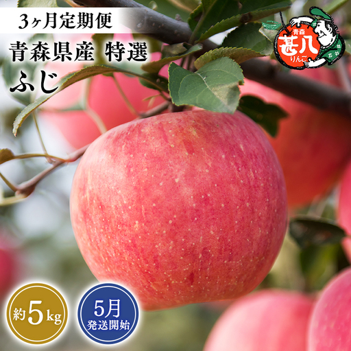 りんご [2027年5月発送開始]青森県産 ふじ 特選 約5kg 3ヶ月定期便[hi-0058-185]