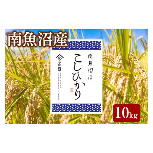 【ふるさと納税】【令和8年産新米予約】特別栽培米　南魚沼産コシヒカリ 10kg　塩沢産コシヒカリ【銘柄米 精米 こしひかり コシヒカリ 魚沼産 新潟米 お米 米 こめ】【2026年10月中旬より1ヵ月以内に順次発送予定】