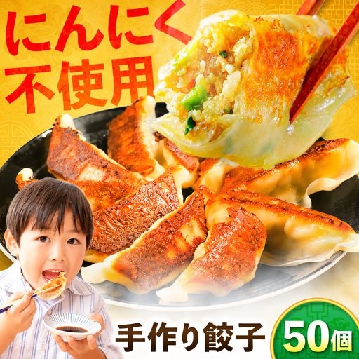 野菜たっぷり手作り餃子 50個 国産 ぎょうざ おかず 岐阜市 / ながらぱいたん珀[ANHY001]