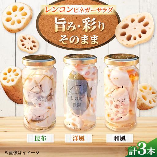 レンコンビネガーサラダ 3本（和風・洋風・昆布） 常備菜 おかず 愛西市 / しのだ農園-SHINODA FARM-[AECE008]