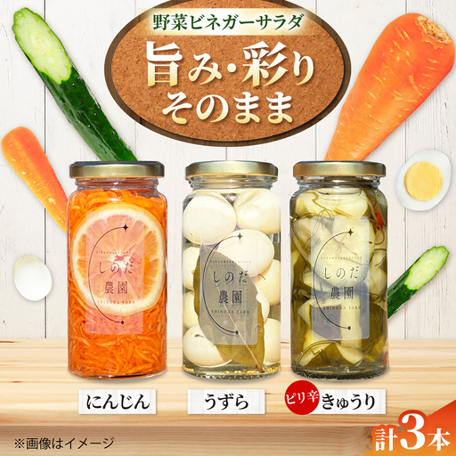 野菜ビネガーサラダ 3本(うずら・ピリ辛きゅうり・にんじん) 常備菜 おかず 愛西市 / しのだ農園-SHINODA FARM-[AECE011]