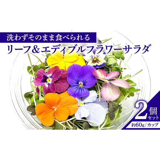 栽培期間中無農薬で安心！屋内水耕栽培で育てたリーフ＆エディブルフラワーサラダ×2カップ 信州野菜のマイクロリーフ入り！ 食用花 お花 野菜 料理 サラダ