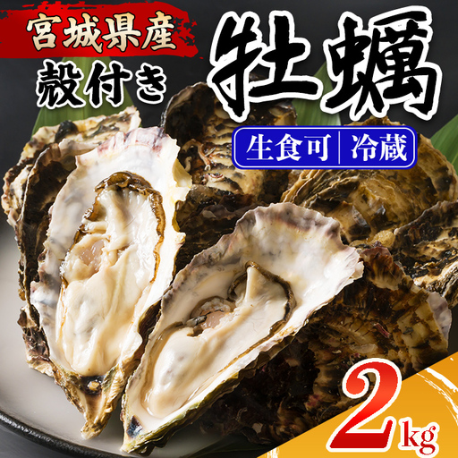 殻付き牡蠣(生食用)冷蔵 2kg 生牡蠣 宮城県産 牡蛎 牡蠣 カキ かき 生食 オイスター カキフライ 牡蠣鍋 海鮮 国産 魚貝類 バーベキュー BBQ [カタクチ商店株式会社]ta730