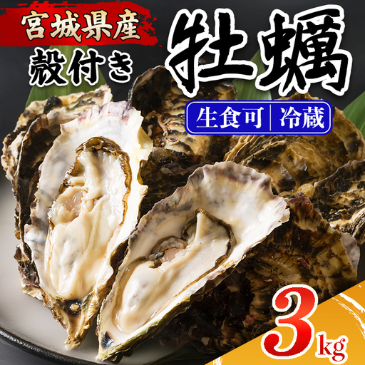 殻付き牡蠣（生食用）冷蔵 3kg 生牡蠣 宮城県産 牡蛎 牡蠣 カキ かき 生食 オイスター カキフライ 牡蠣鍋 海鮮 国産 魚貝類 バーベキュー BBQ 【カタクチ商店株式会社】ta731