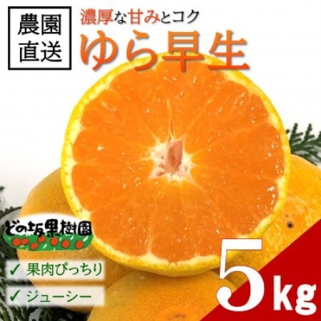 [2026年10月下旬〜発送]濃い!どの坂果樹園のゆら早生みかん 約5kg(2S〜Lサイズ)先行受付[配送不可地域:離島・北海道・沖縄県]