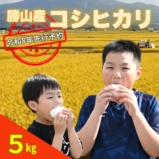 米 コシヒカリ 精米 5kg 令和8年産 先行予約 [A-103001]