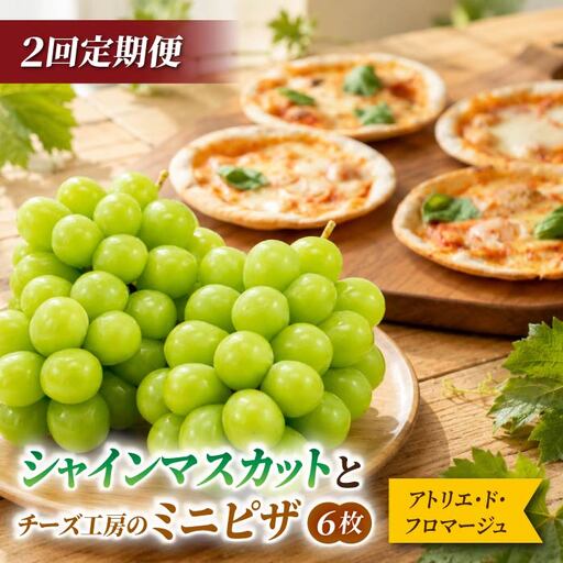 [2回定期便]シャインマスカットとチーズ工房のミニピザ(シャインマスカット2房/ミニピザ6種6枚)|[JA信州うえだ/アトリエ・ド・フロマージュ]ぶどう 葡萄 大粒 果物 フルーツ ピザ 頒布会 長野