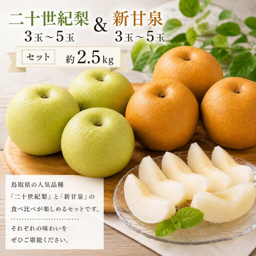 【食べ比べセット】鳥取県産 二十世紀梨 新甘泉 約2.5キロ【鳥取県 境港市】