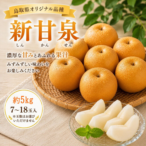 鳥取県産 新甘泉 約5キロ【鳥取県 境港市】