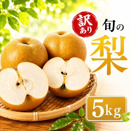 梨 訳あり 旬の梨 約5kg  梨 神戸梨園