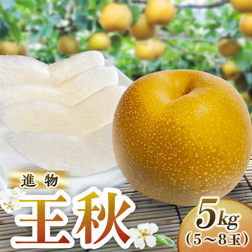 王秋【進物】5kg（岸田秀果園） 鳥取 梨 なし ナシ 果物 フルーツ 和梨 王秋 おうしゅうなし 人気 進物 贈答用