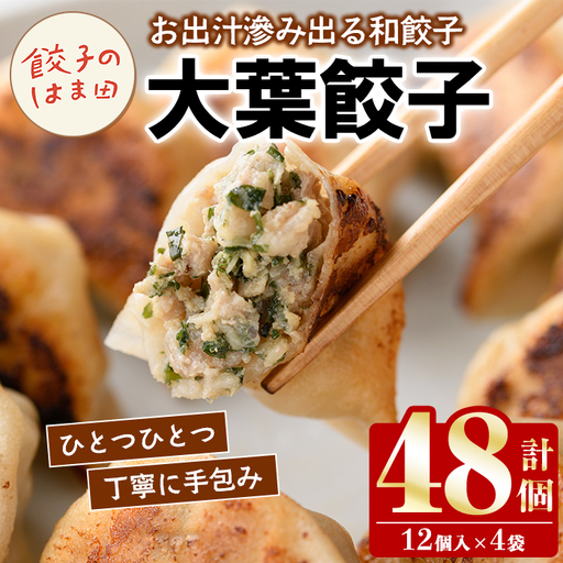 大葉餃子(12個入×4袋・計48個) 餃子 生餃子 ギョウザ ぎょうざ ギョーザ セット 詰め合わせ おかず お惣菜 冷凍 和風 水餃子 大葉 手作り [餃子のはま田]akn096-02