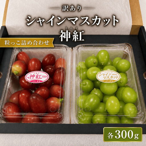 【期間限定】いずもぶどう訳ありシャインマスカット＆神紅（粒っこ詰め合わせ）