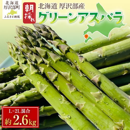 北海道厚沢部町産 グリーンアスパラ L～2L混合 約2.6kg ASG080
