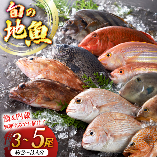 魚 地魚 詰め合わせ 3〜5尾