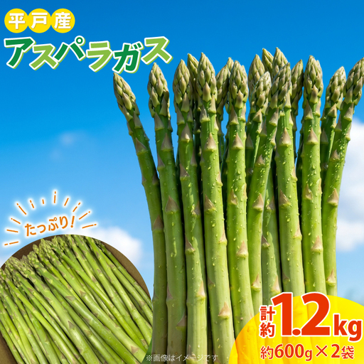 アスパラガス 約600g 2袋 計約1.2kg